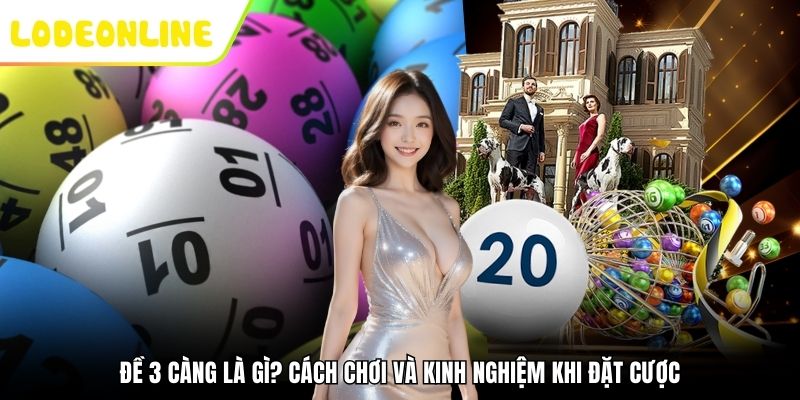đề 3 càng là gì